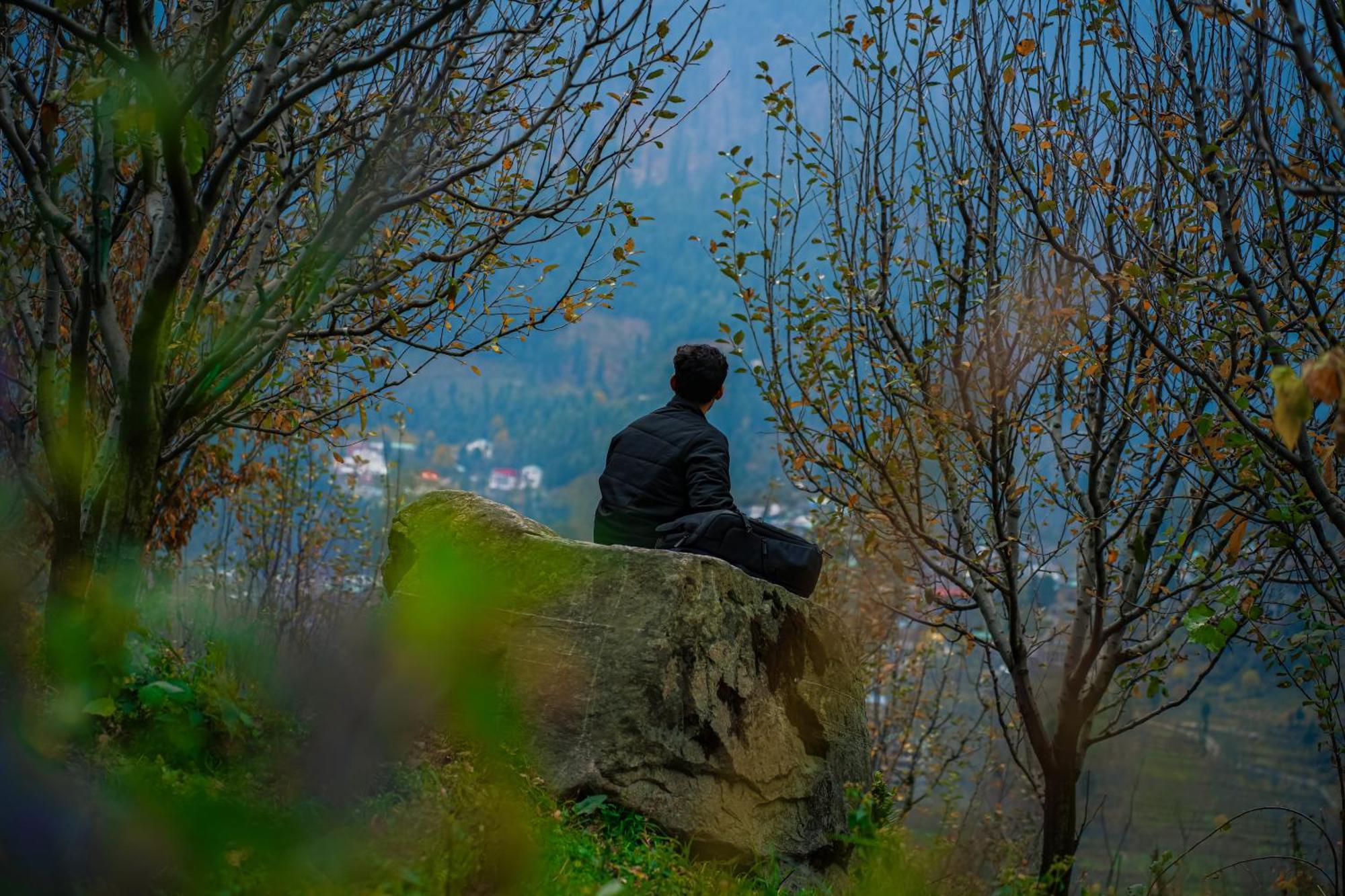 Yaarana Stay & Cafe, Vashisht, Manali 外观 照片